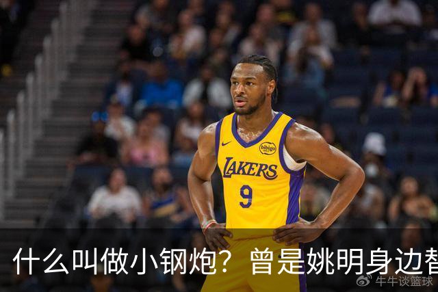 什么叫做小钢炮？曾是姚明身边替补！20年NBA赚2.82亿